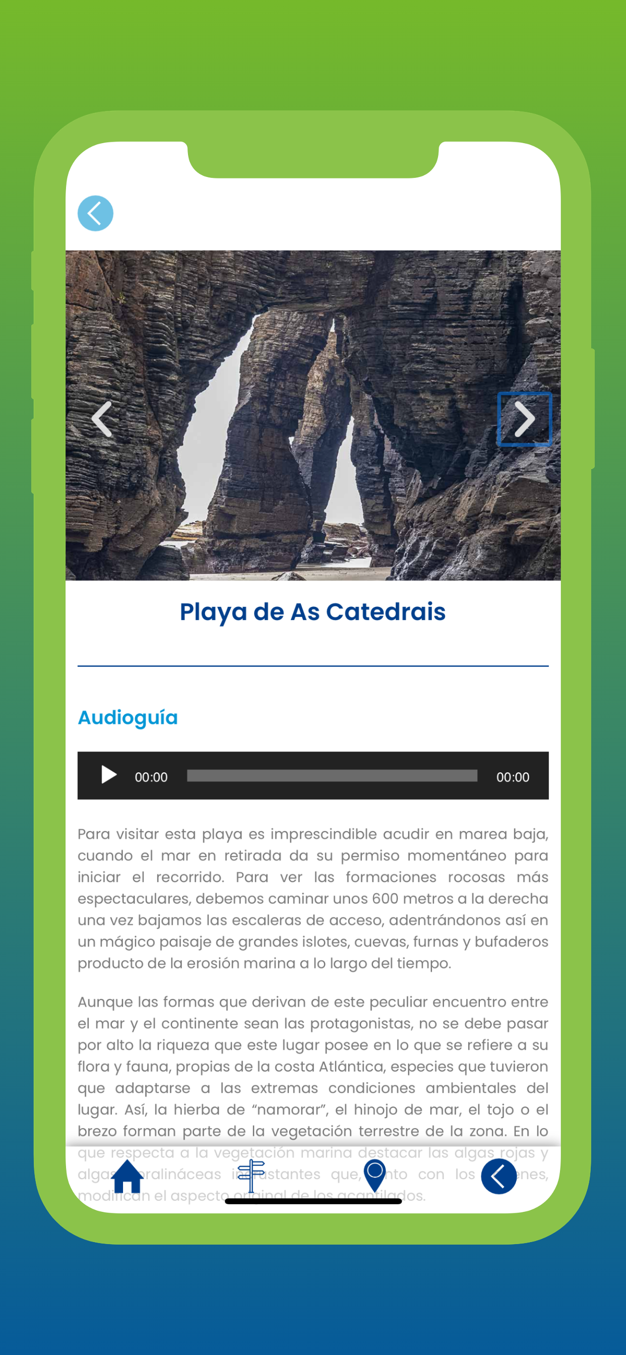 RibadeoXNatural