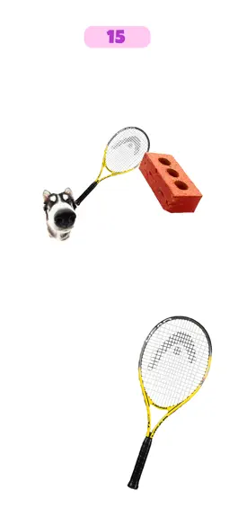 Game screenshot Dog & Cat Tennis hack