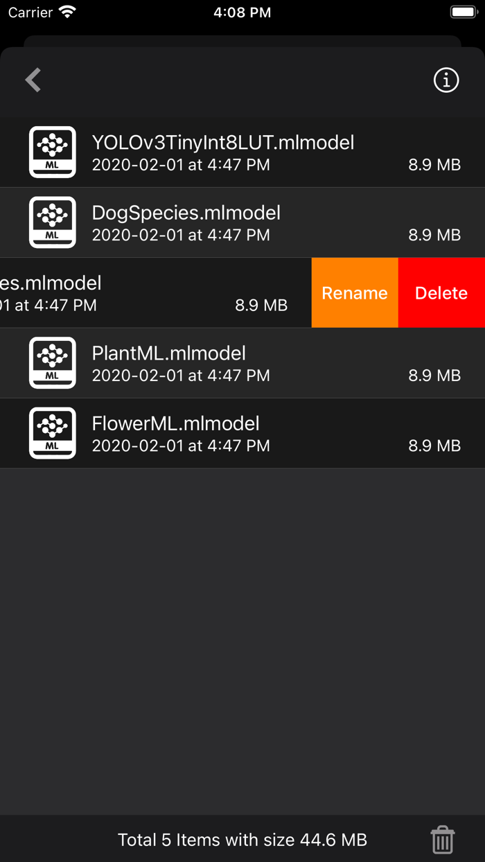 Object Detection Cam