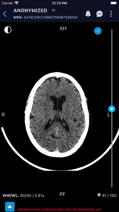 Eureka Clinical AI Screenshot