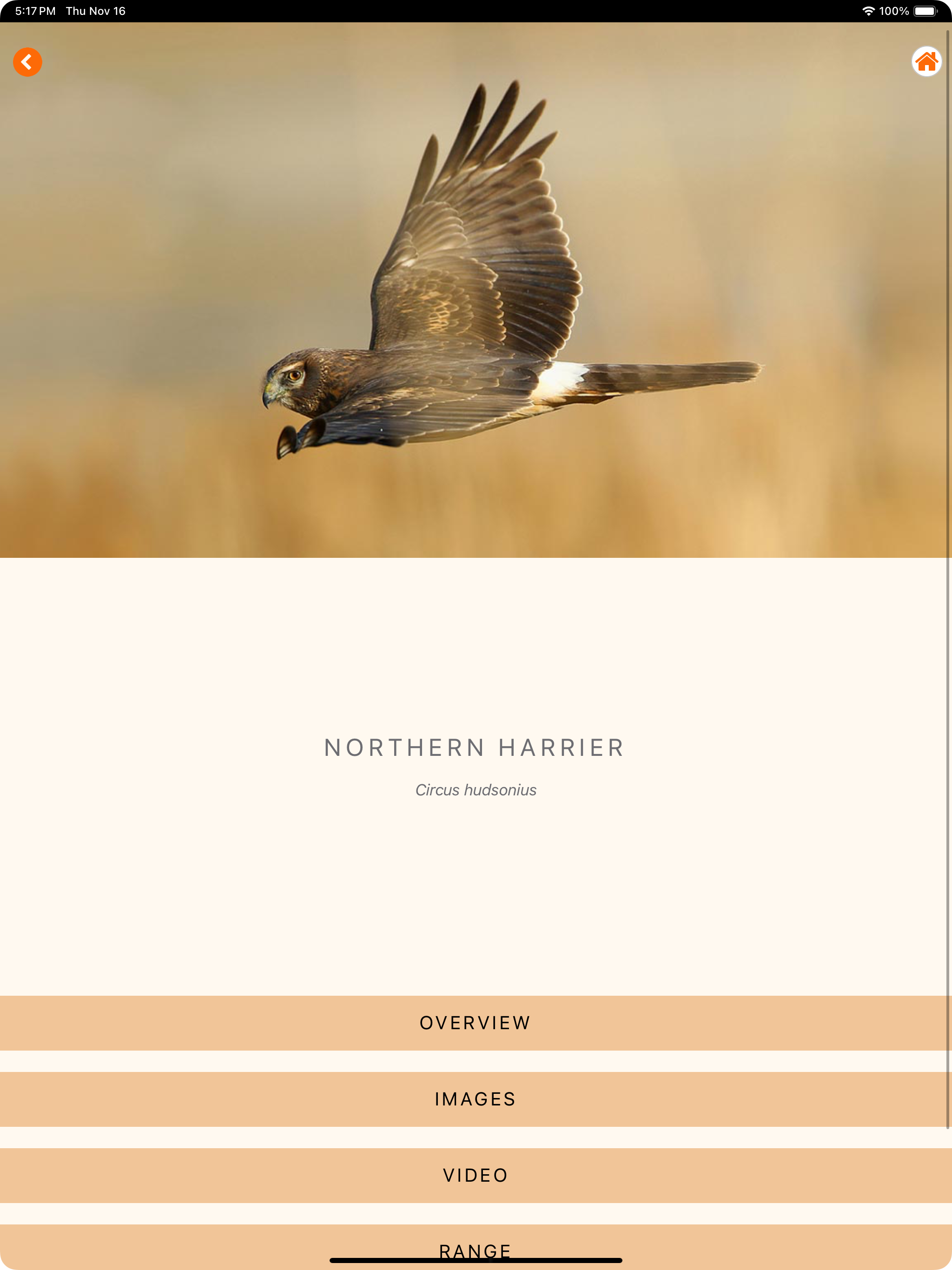 Raptor ID