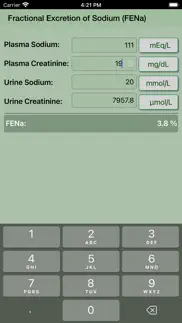 fena calculator iphone screenshot 4