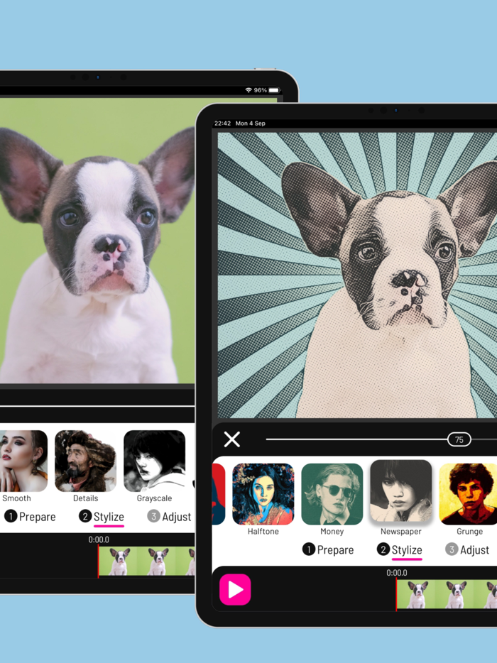 Toonita Video Pop Art Filters