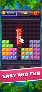 Jewel Block Brick Puzzle screenshot #5 for iPhone