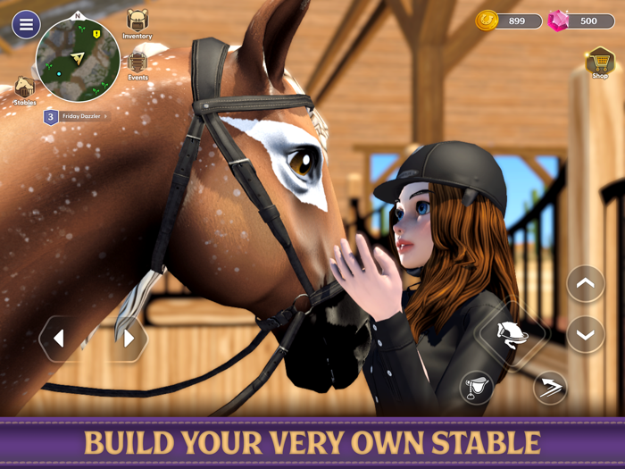 Star Equestrian - Horse Ranch
