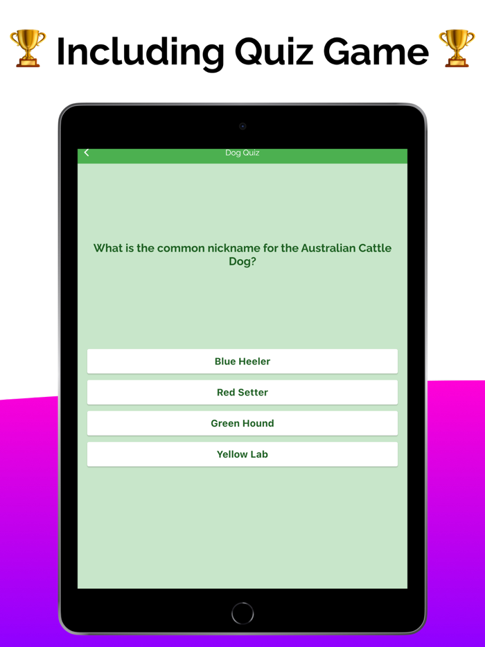 Dog Care Guide Pup Tips and Fun