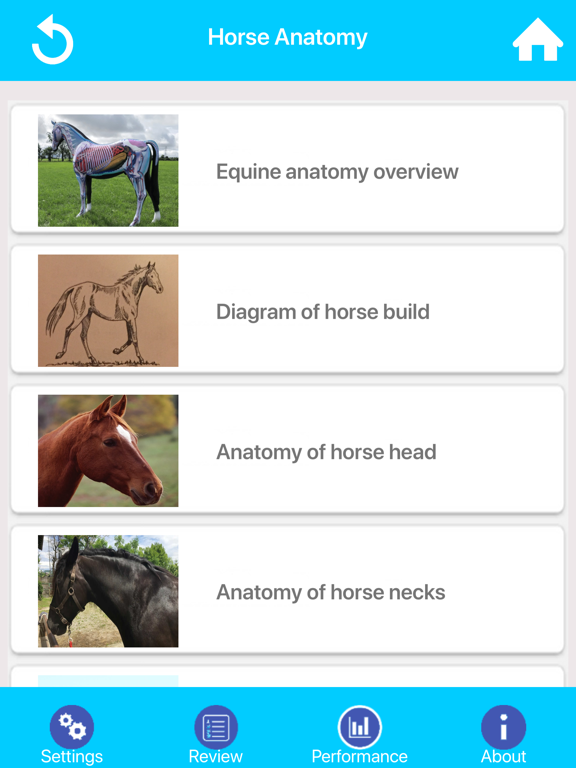 Screenshot #5 pour Learn Horse Knowledge