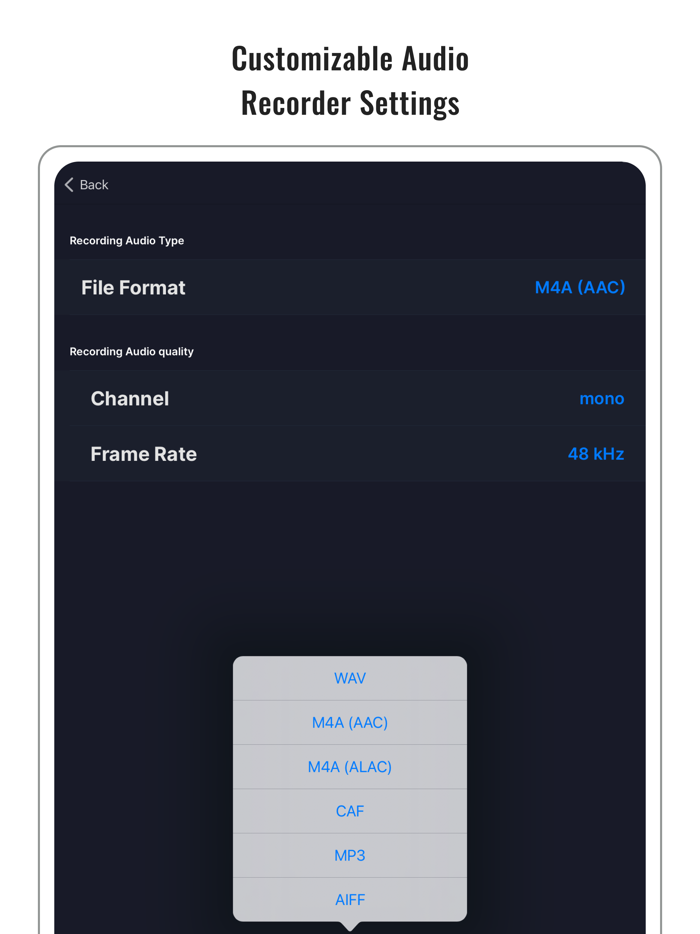 Audio Noise Reducer and Recorder