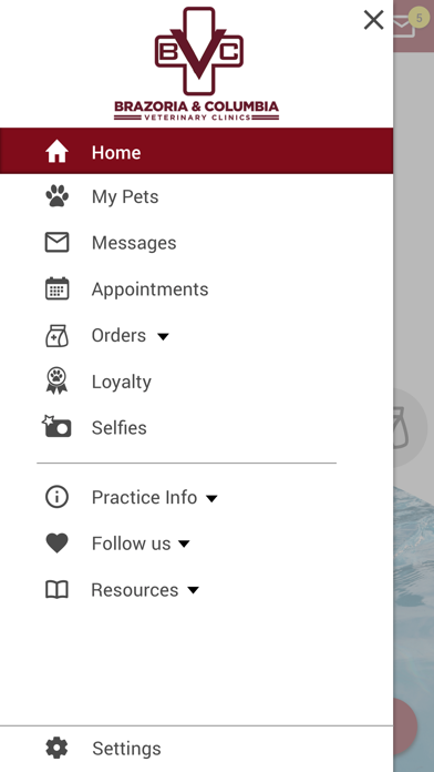 Brazoria Vet Screenshot