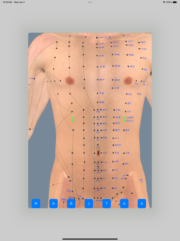 経絡ツボ3Dのおすすめ画像2