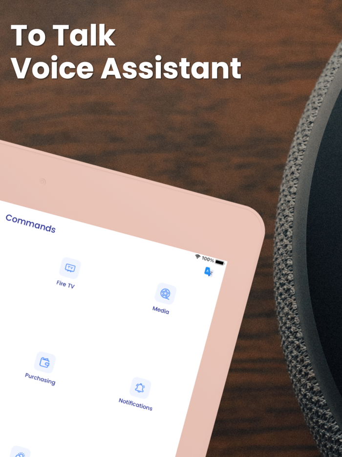 Setup and voice for Alexa app