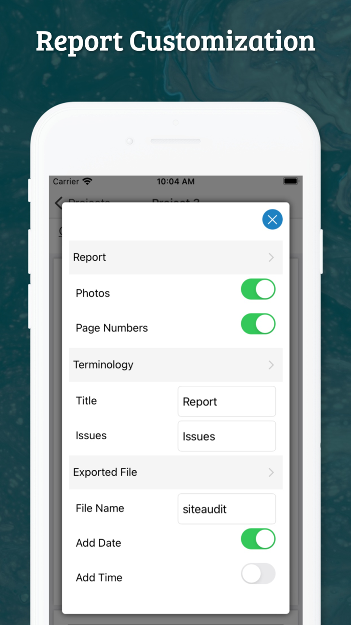 Site Audit - Punch Snag Lists