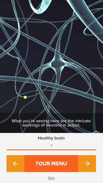 The Brain Tour Screenshot