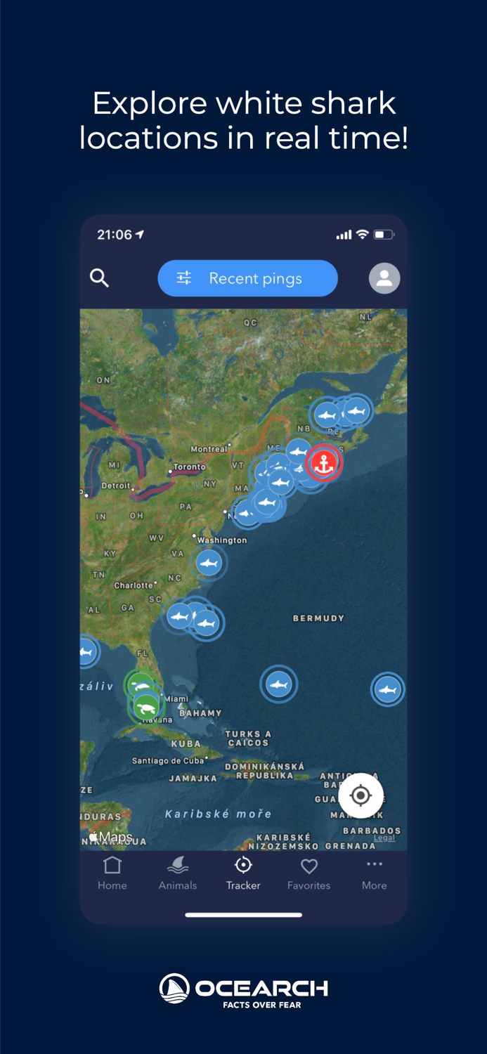 OCEARCH Shark Tracker