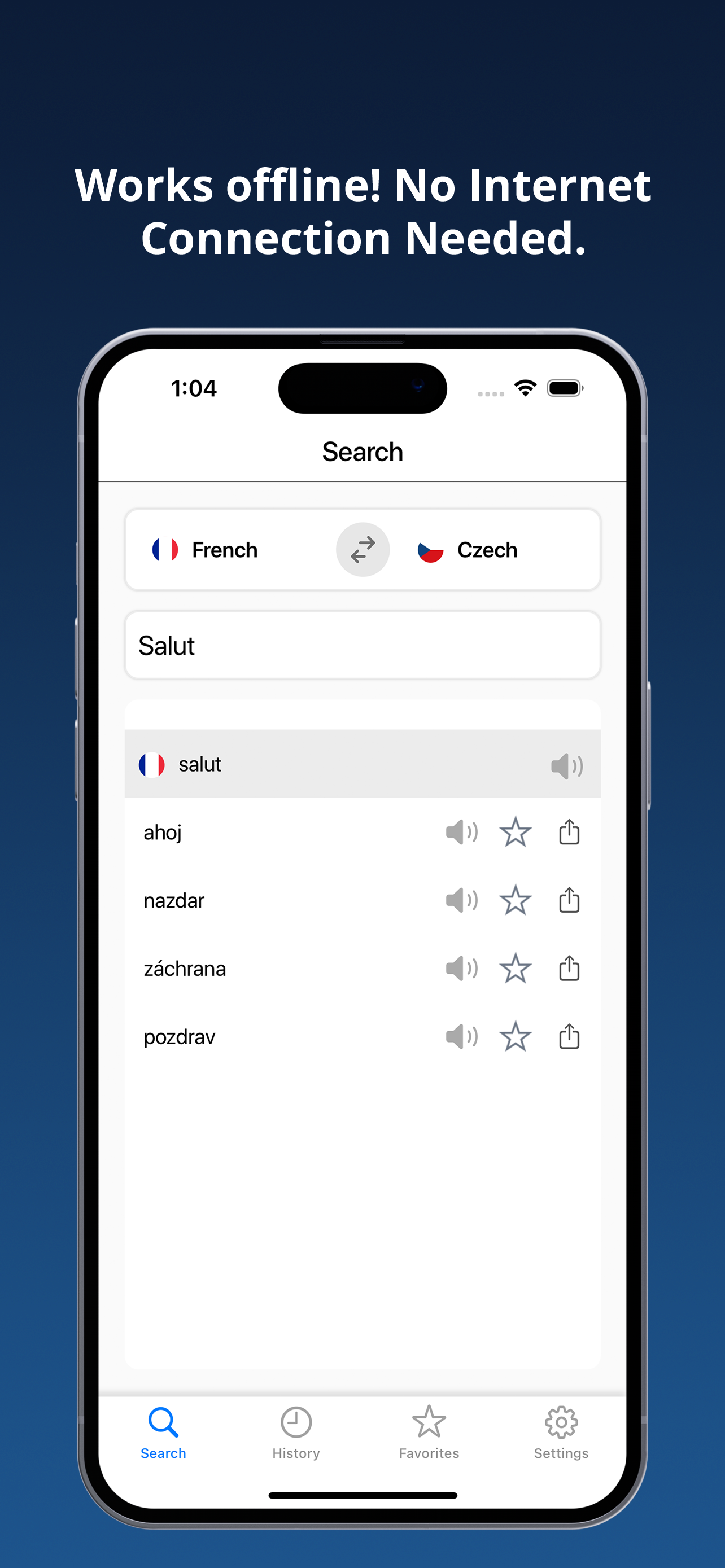 French Czech Dictionary +