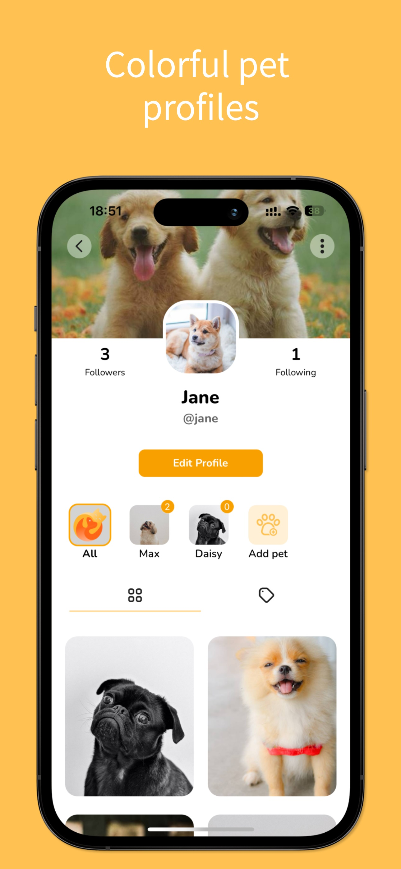 Petigo - Connecting pet lovers