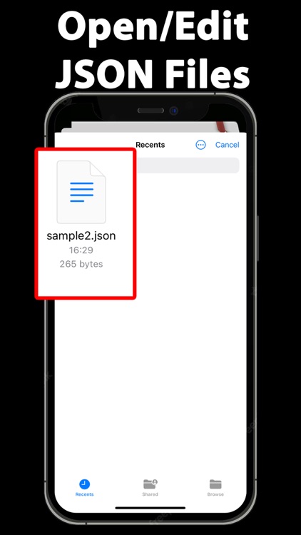 JSON Editor Viewer XML PDF