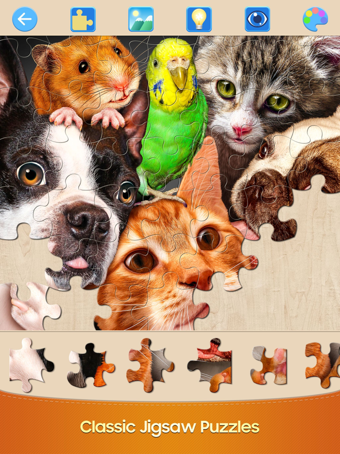 Jigsaw Puzzles Pro Puzzle Game