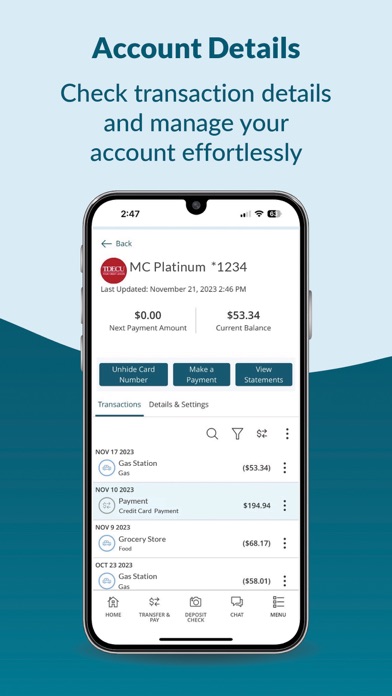 TDECU Digital Banking Screenshot