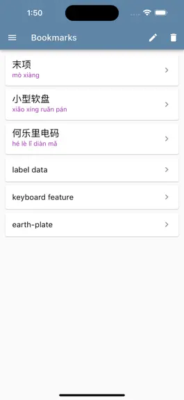 Game screenshot IT/ Computer Dict (Chin-Eng) hack