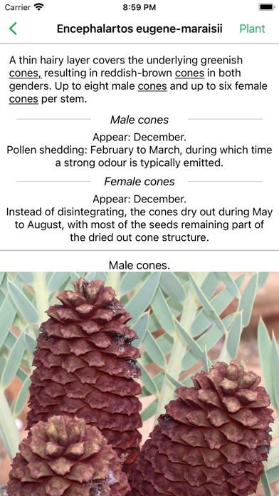 SA Cycads Screenshot