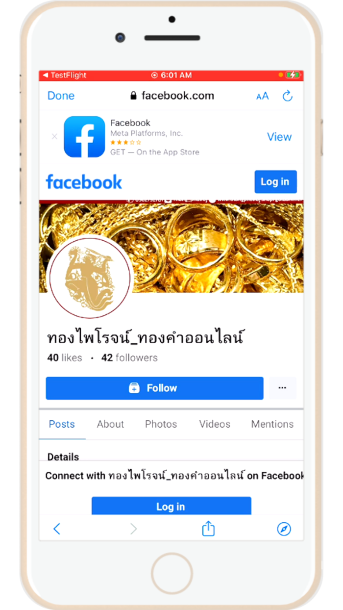 ทองไพโรจน์