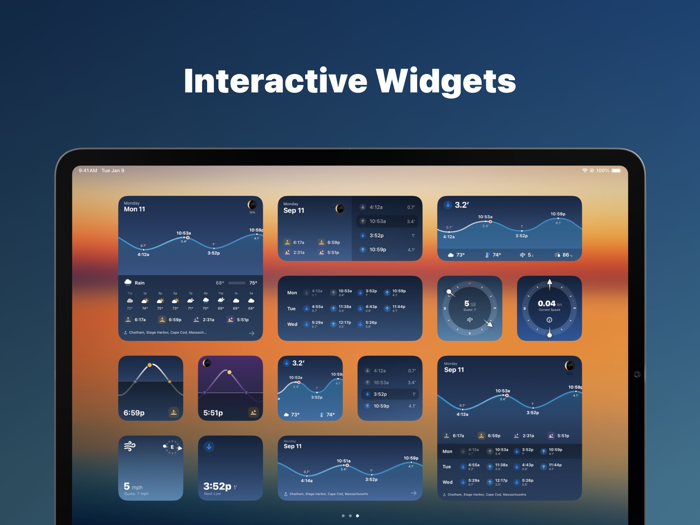 Tide Guide Charts and Tables
