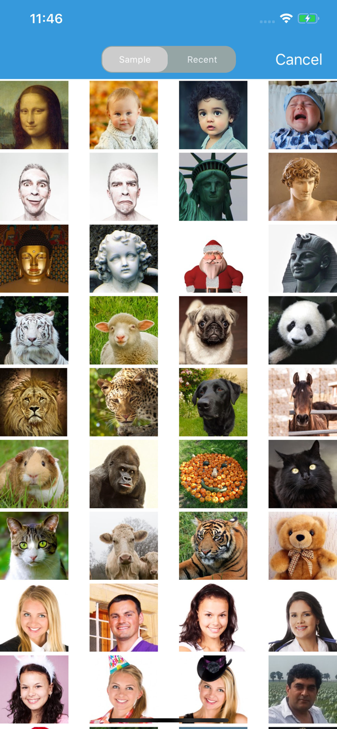 Face Story -Morph Change Face