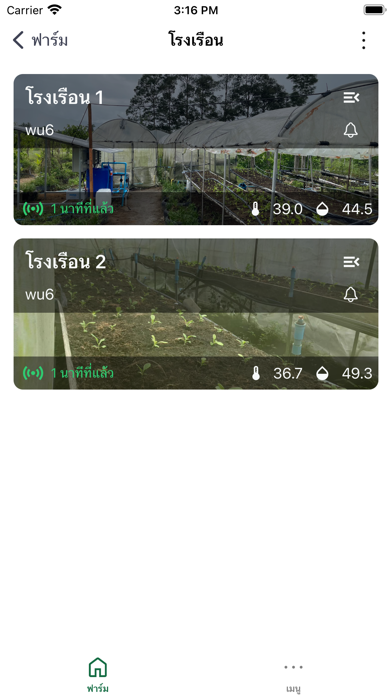 Walailak Farm Teeh Screenshot