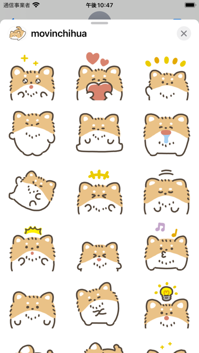 Screenshot #1 pour movin chihuahua sticker
