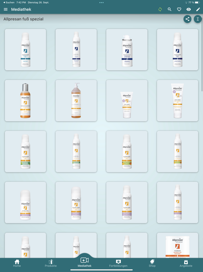 neubourg professional