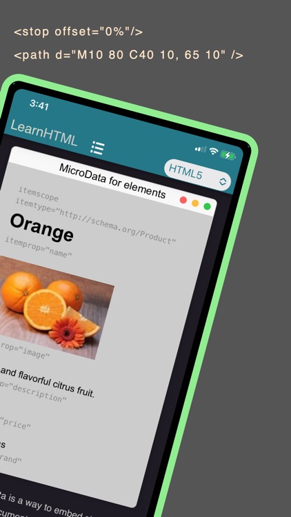 Learn HTML Coding Offline screenshot-5