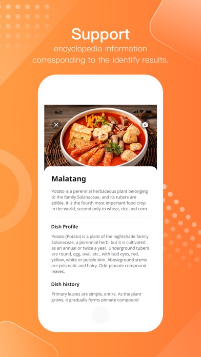 DishSnap - identify dish names Screenshot