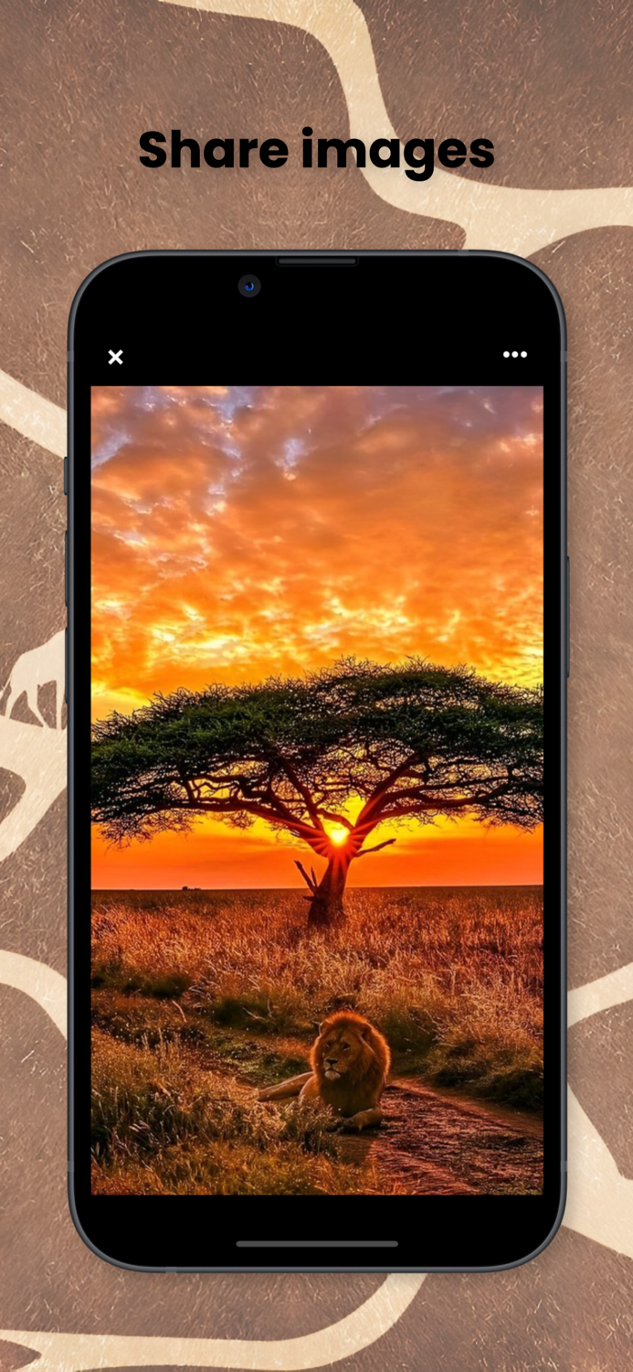 African Proverbs by Topic