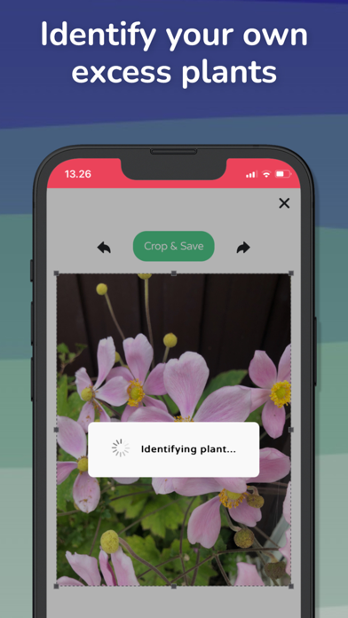 Floragora Screenshot