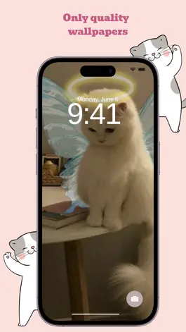 Game screenshot Meow Wallpapers mod apk