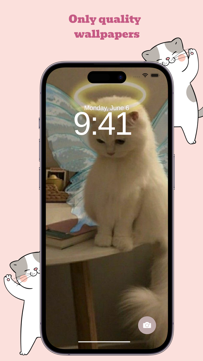 Meow Wallpapers