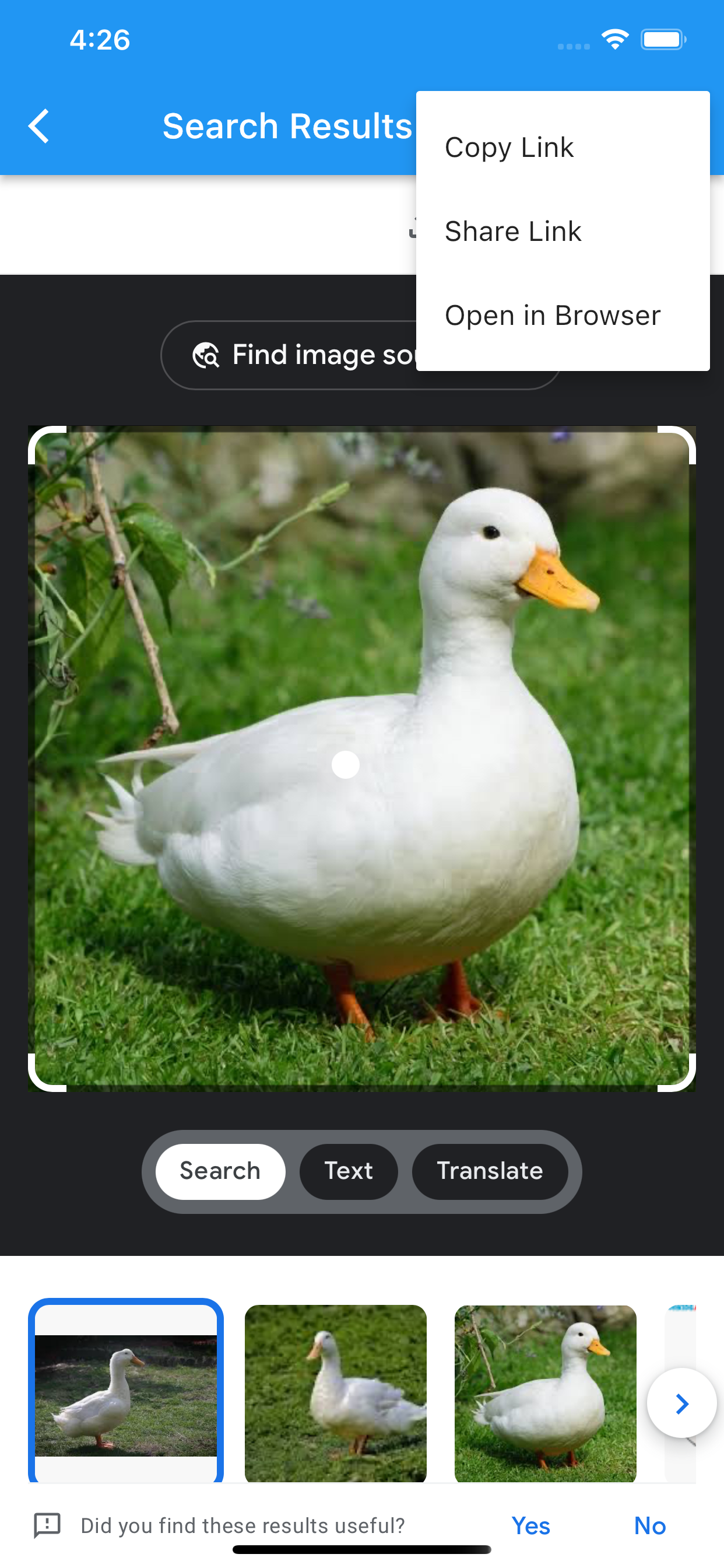 Images Search Helper Tool