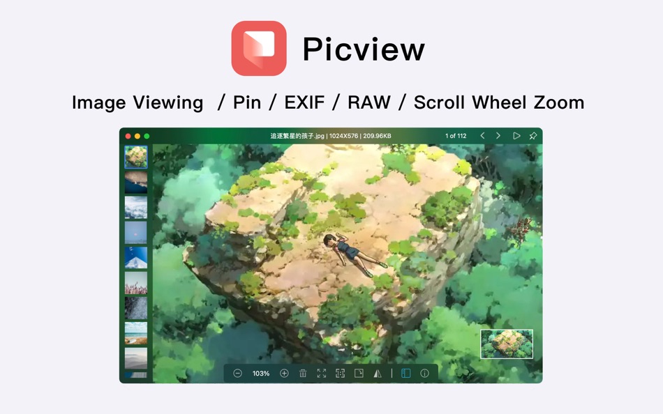 Picview - Image Viewer - 1.2.4 - (macOS)