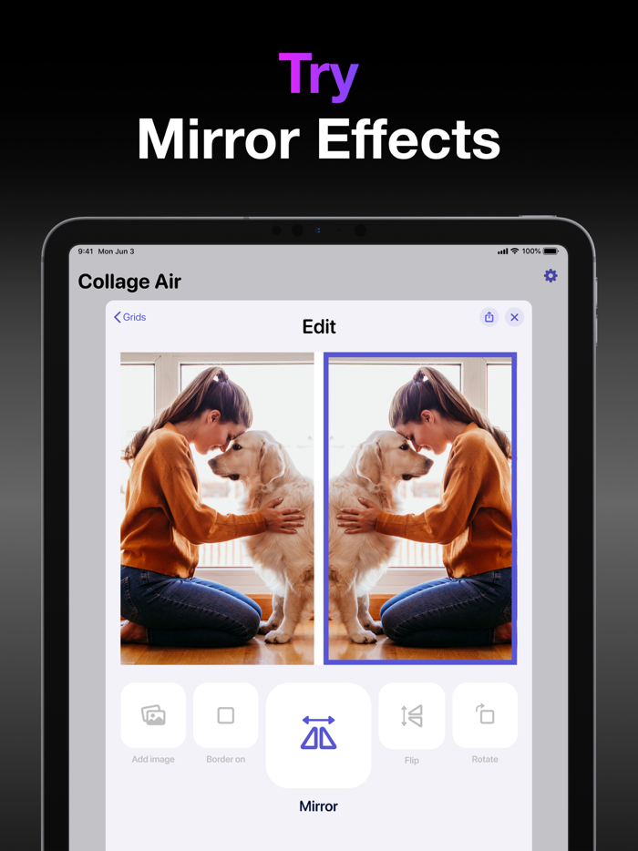 Collage Air Photo Layout