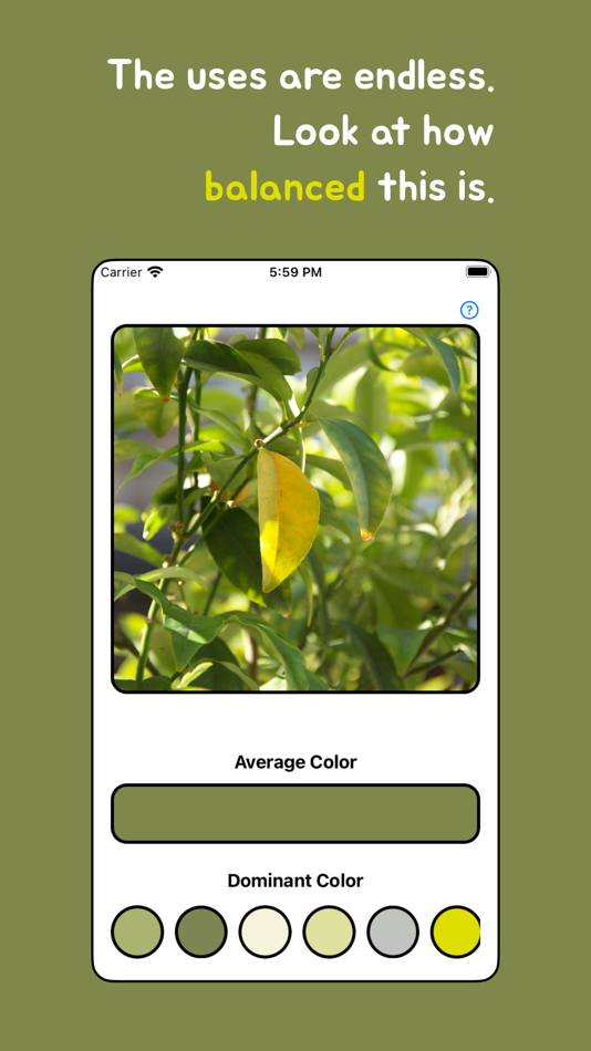#2. TintTrove (iOS) 게시자: Minkyu CHA