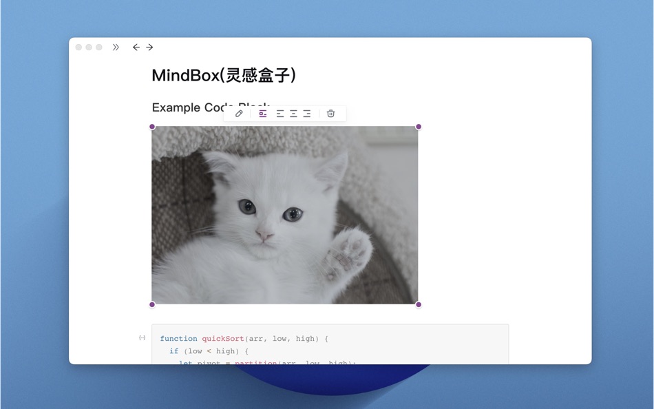 #1. MindBox - A note-taking app (macOS) 由: 冉 罗