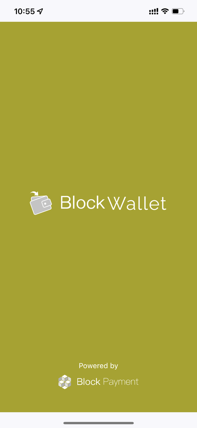 Block Wallet by Block Payment