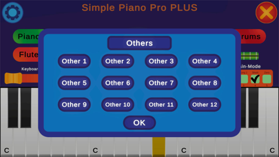 Simple Piano Pro PLUS Screenshot