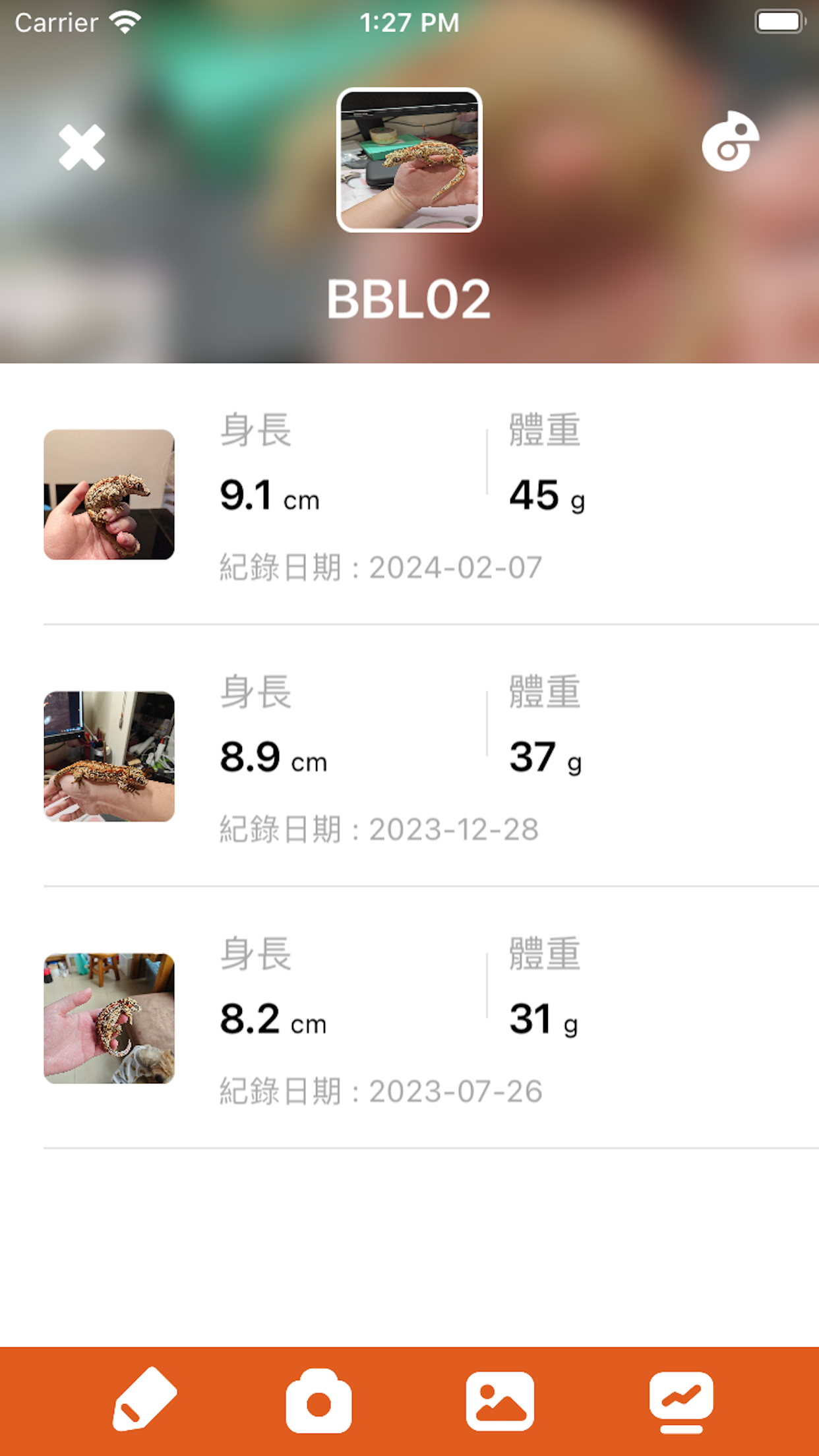 小学同步四年级