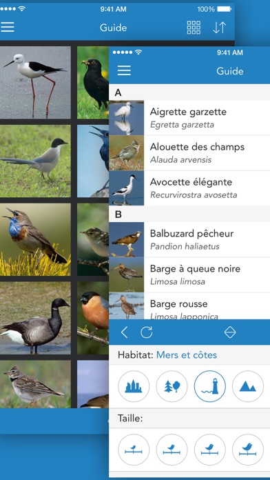Screenshot #3 pour Oiseaux 2 LITE