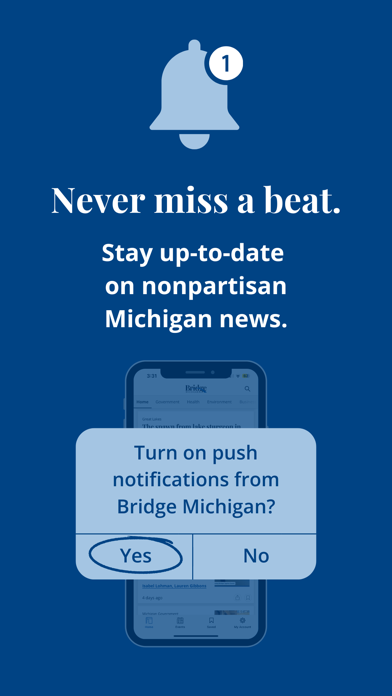 Bridge Michigan Screenshot