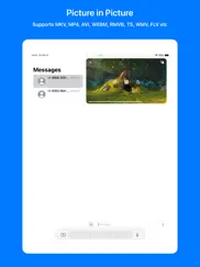 mkv pip player ipad resimleri 4