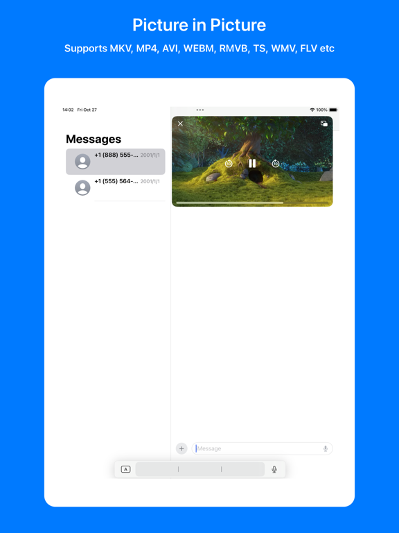 MKV PiP Player iPad screenshot 4 - Utilities app