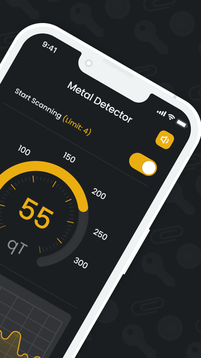 Metal Detector EMF ™ Screenshot